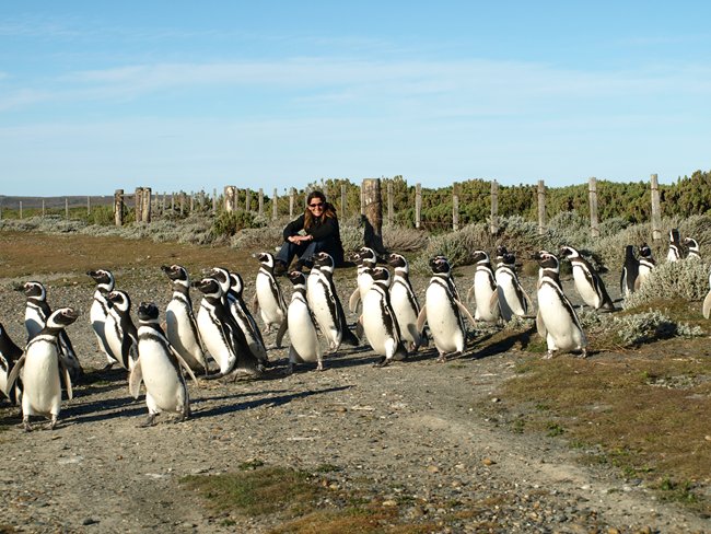 ../../Pictures/231209/074 Cabo Virgines.JPG